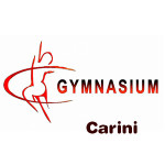 Gymnasium Palestra | Carini